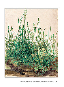 Profession - Scientific Illustrator. Guide to Illustration in Biology, Archaeology and Paleoart